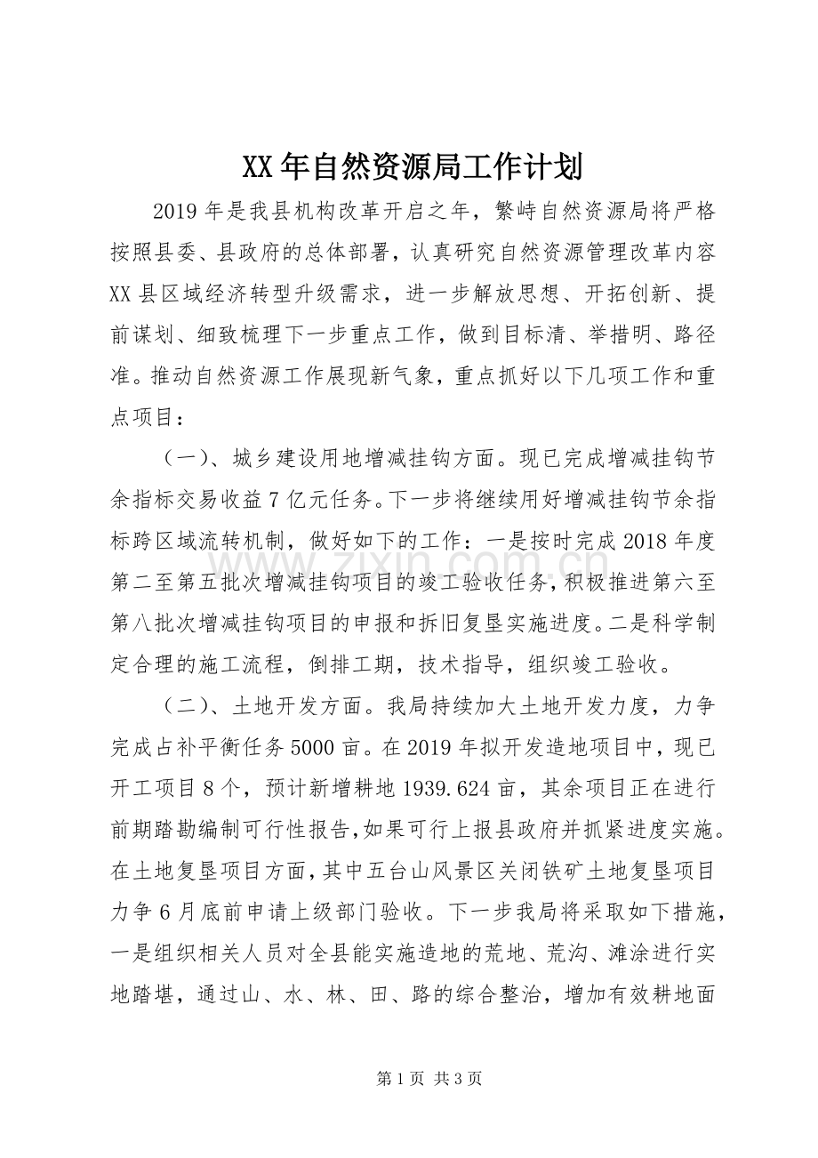 XX年自然资源局工作计划.docx_第1页