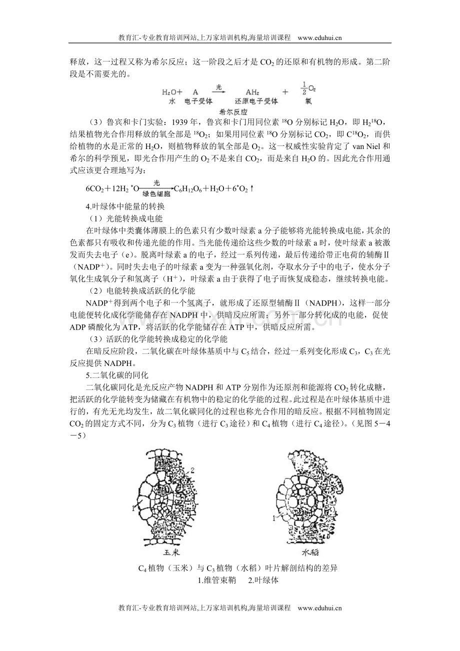 人教新课标高中生物必修一教师备课参考（能量之源——光与光合作用第3课时）.doc_第2页