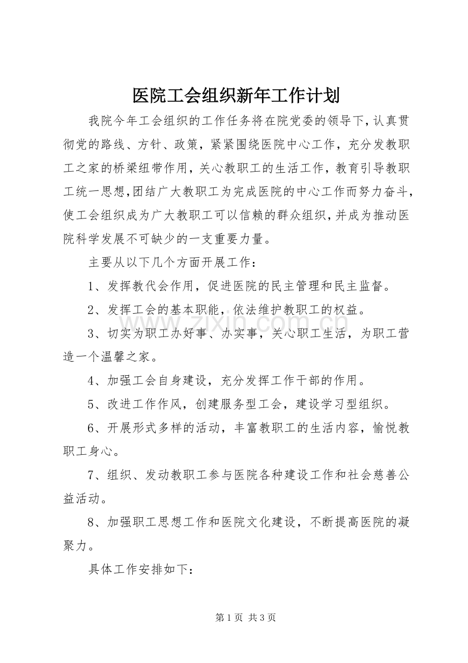 医院工会组织新年工作计划.docx_第1页