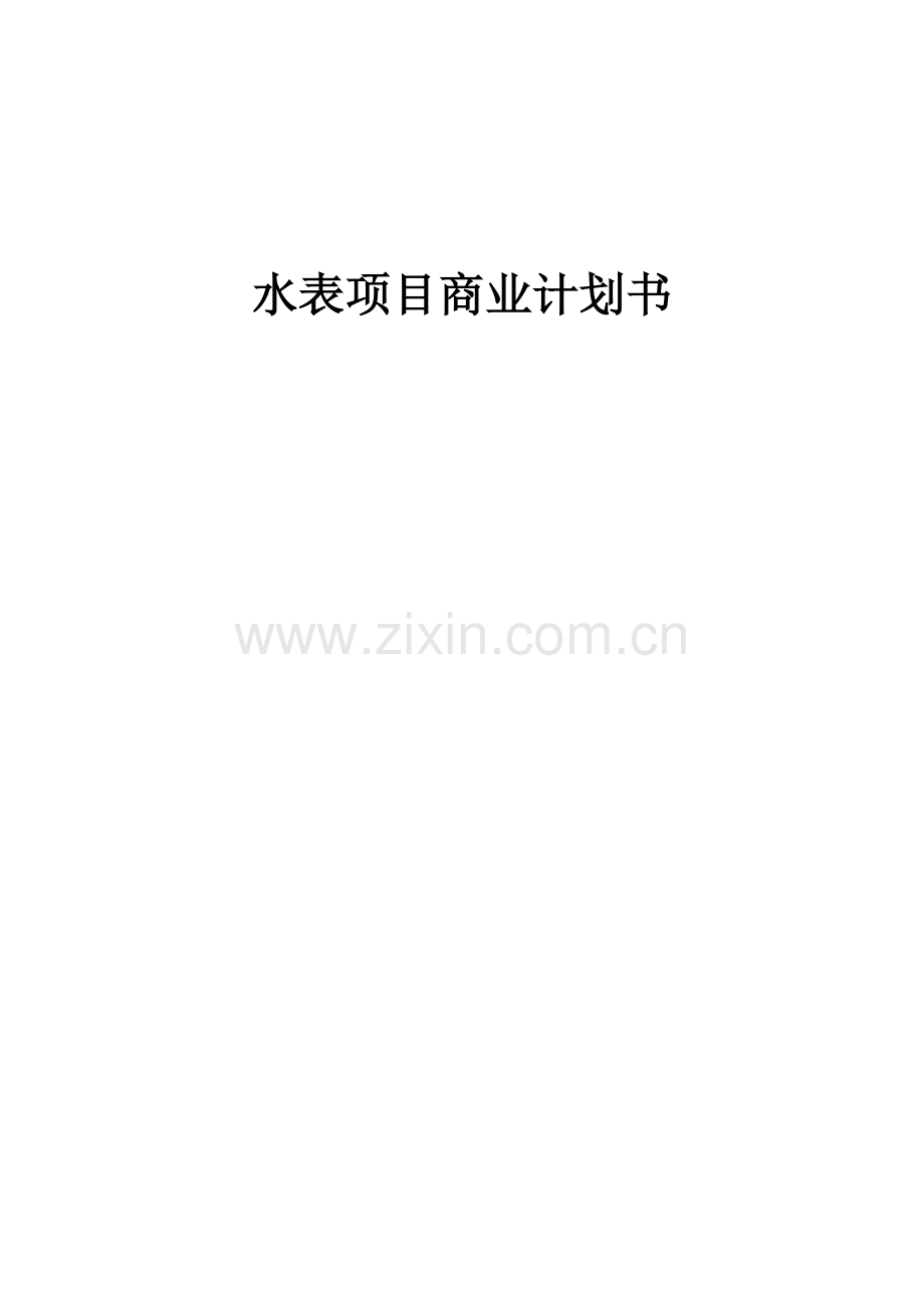 水表项目商业计划书.docx_第1页