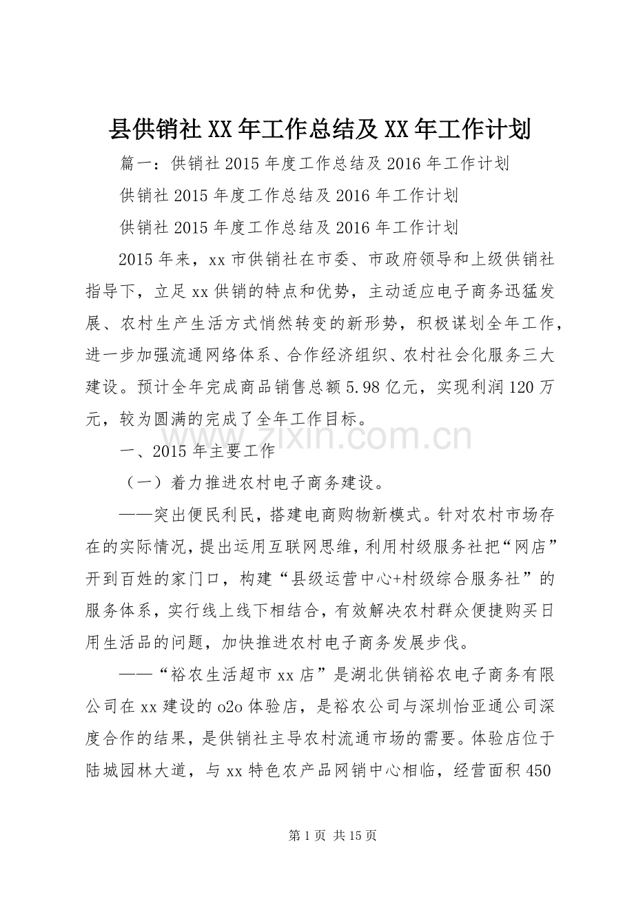 县供销社XX年工作总结及XX年工作计划.docx_第1页