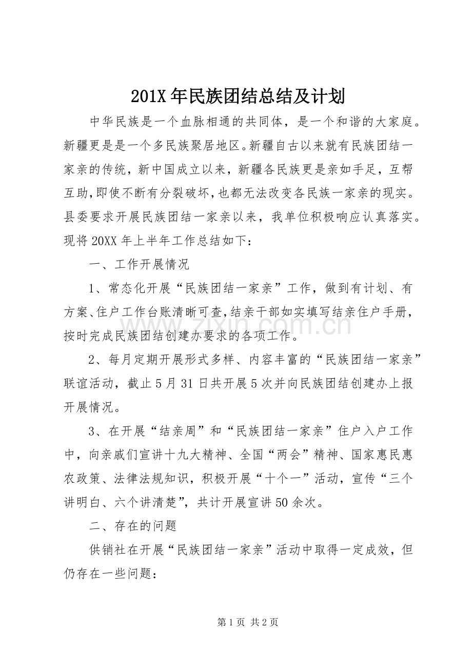 201X年民族团结总结及计划.docx_第1页