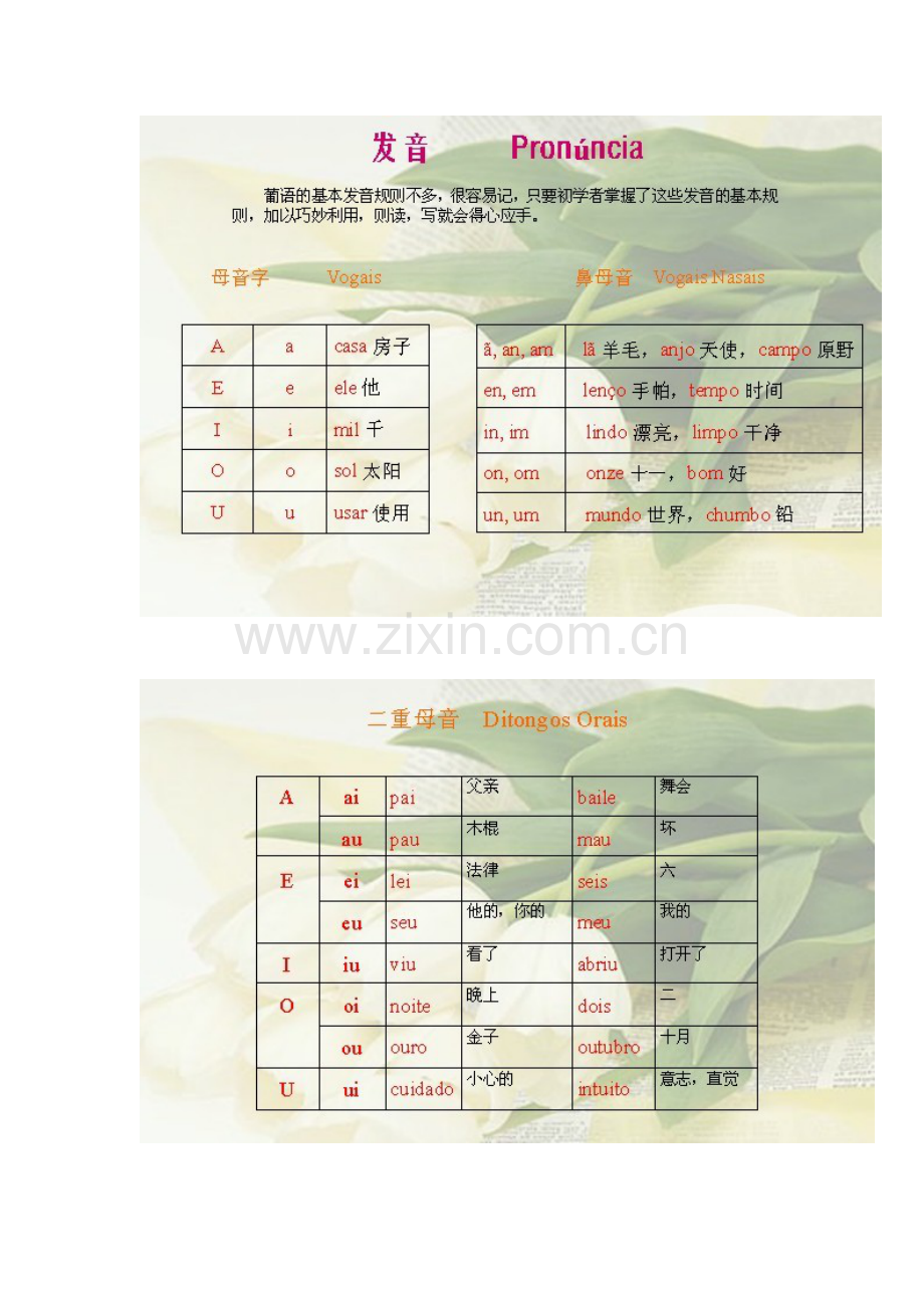 葡语发音图片教程新.doc_第2页