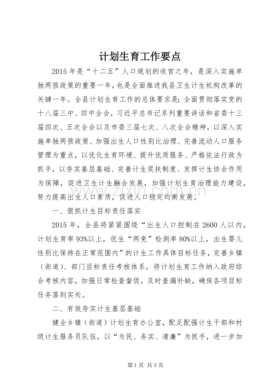 计划生育工作要点.docx_第1页