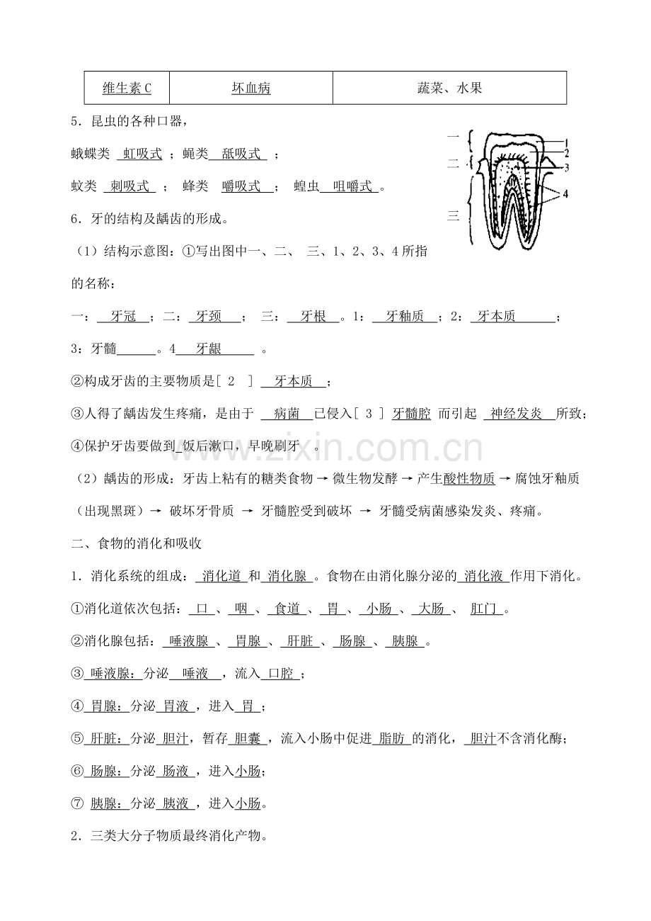 九年级科学上册 第四章代谢与平衡教案 浙教版.doc_第2页