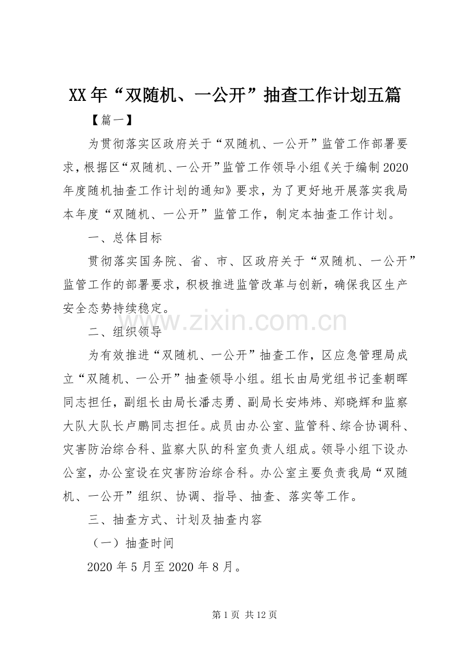 XX年“双随机、一公开”抽查工作计划五篇.docx_第1页