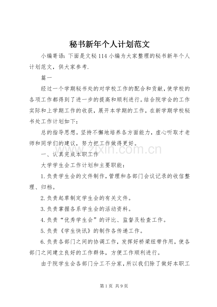 秘书新年个人计划范文 .docx_第1页