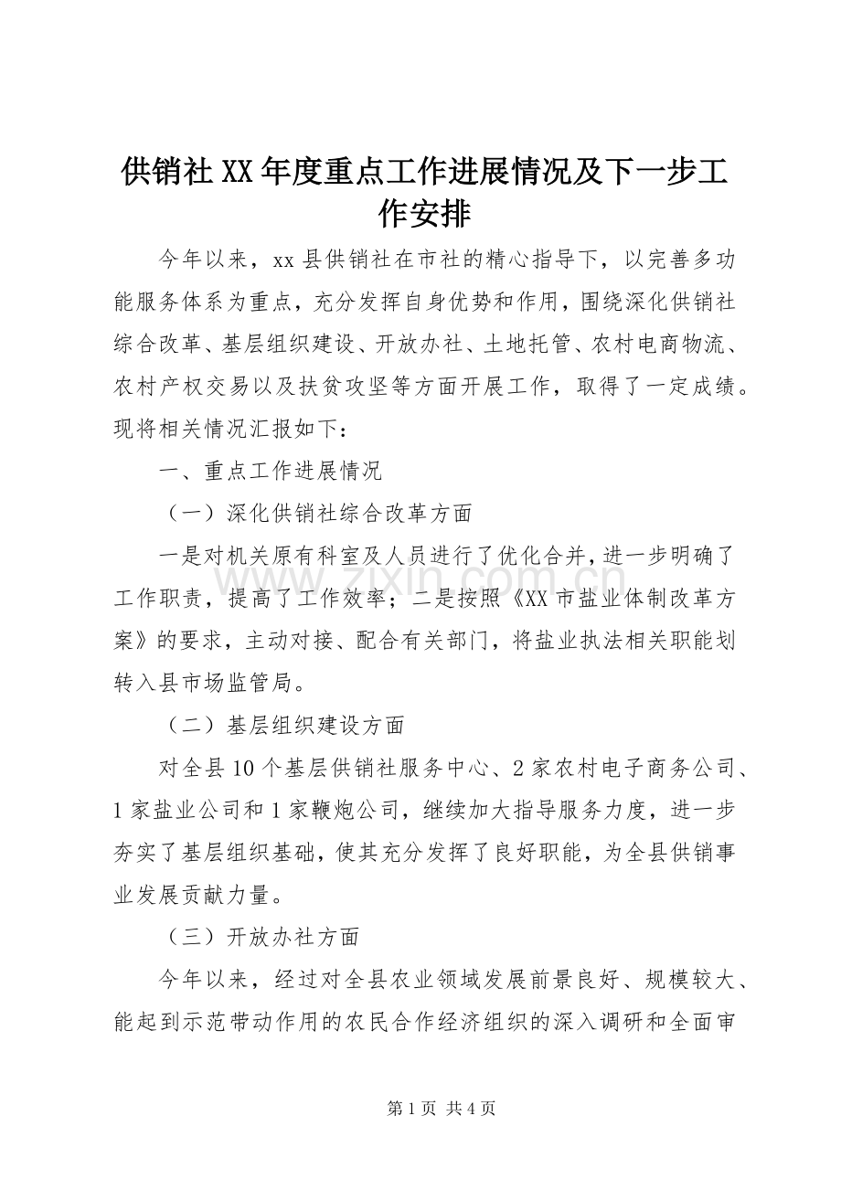 供销社XX年度重点工作进展情况及下一步工作安排.docx_第1页