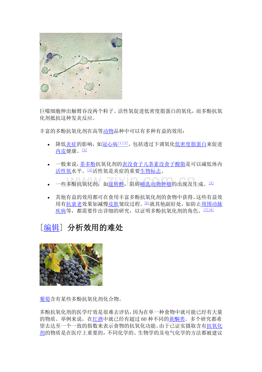 多酚抗氧化剂.doc_第2页