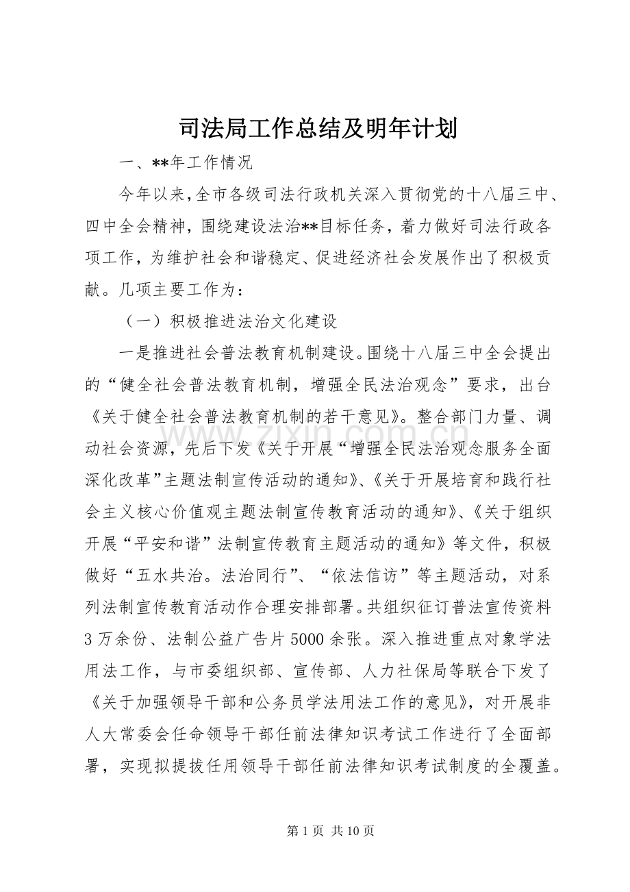 司法局工作总结及明年计划_1.docx_第1页