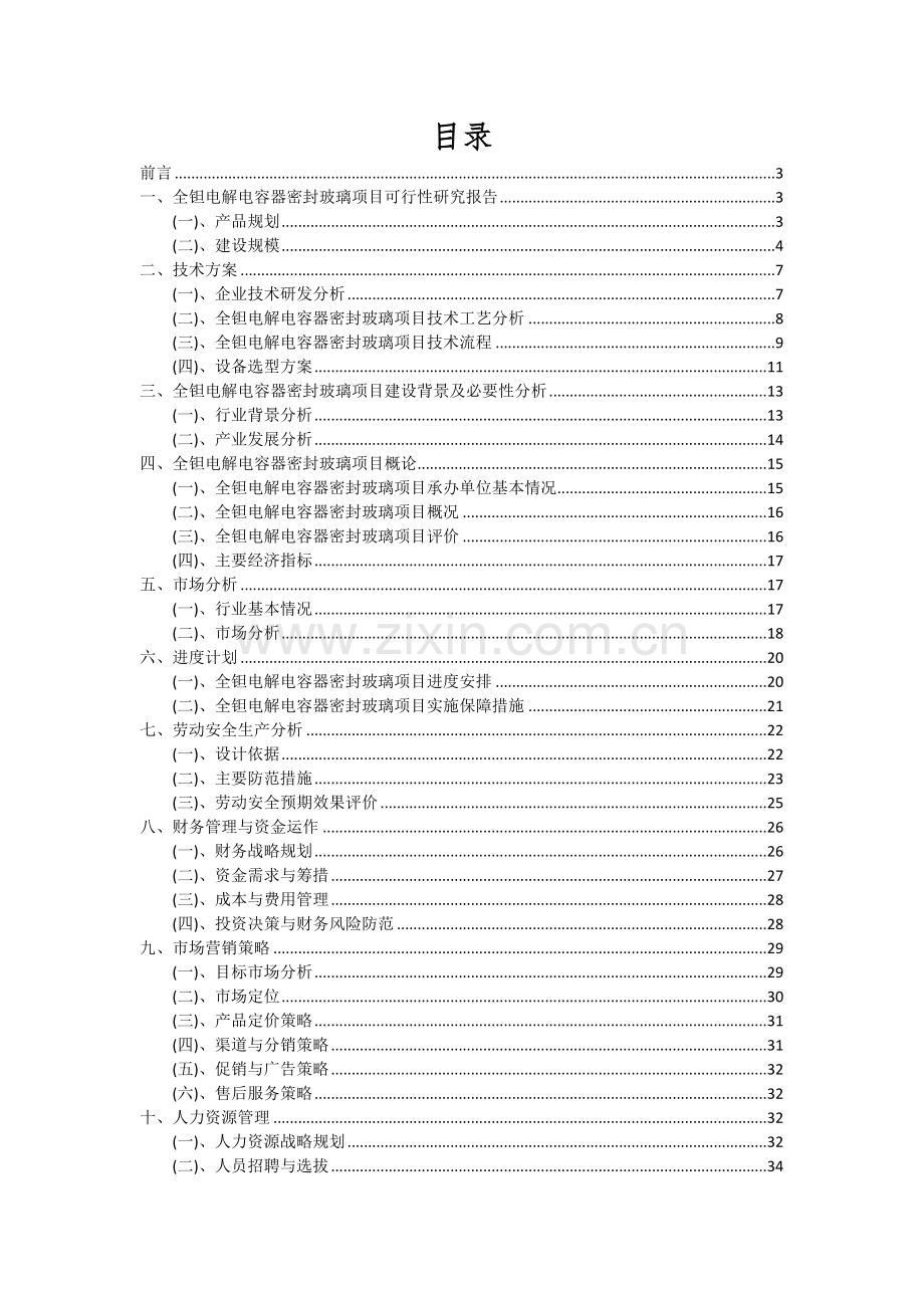 全钽电解电容器密封玻璃项目可行性分析报告.docx_第2页