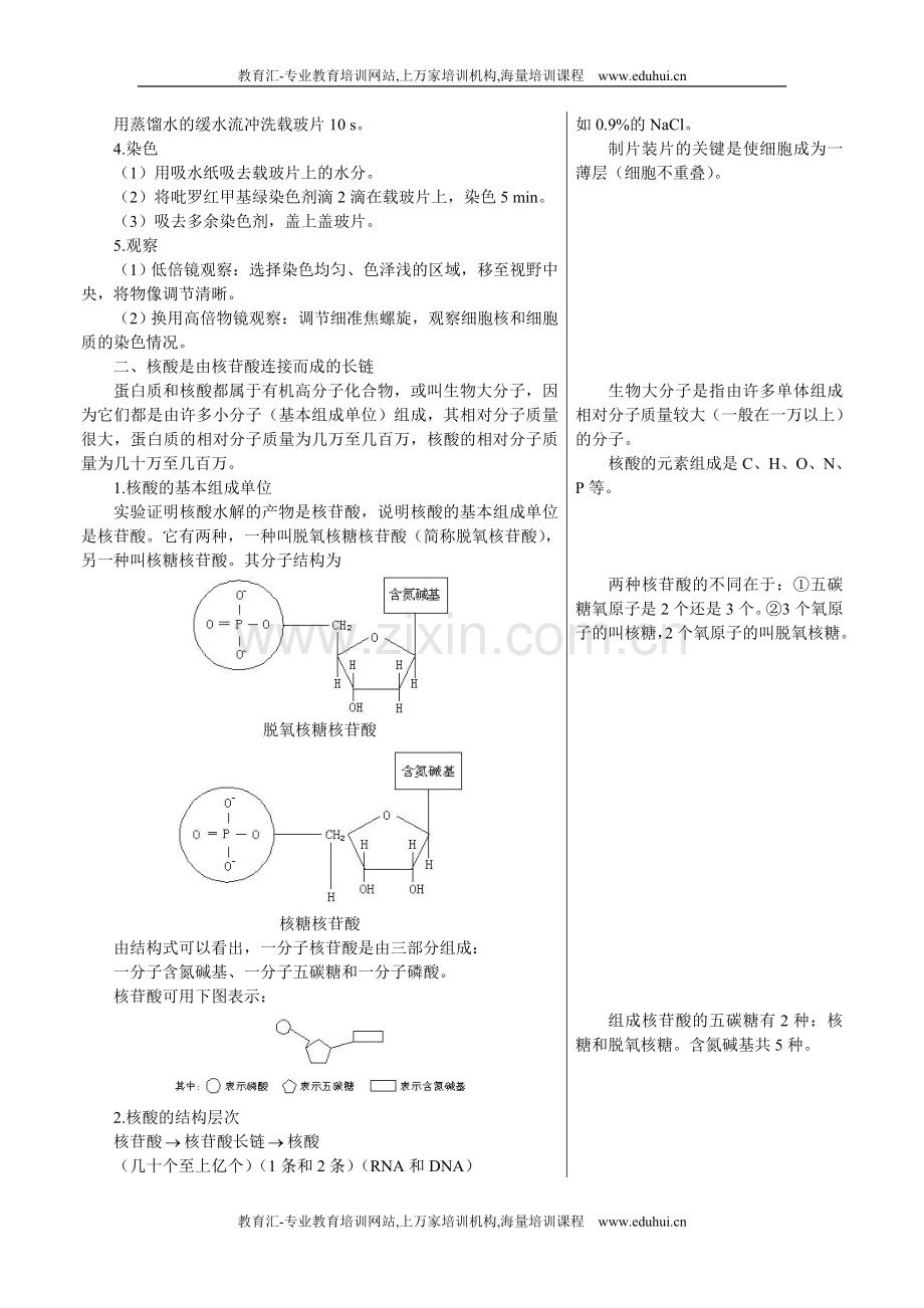 人教新课标高中生物必修一章节知识要点（遗传信息的携带者——核酸）.doc_第2页