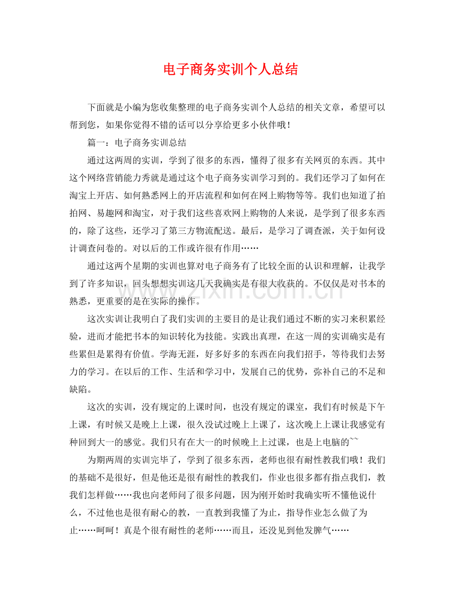 电子商务实训个人总结 .docx_第1页