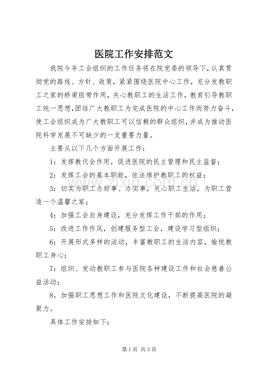 医院工作安排范文.docx_第1页