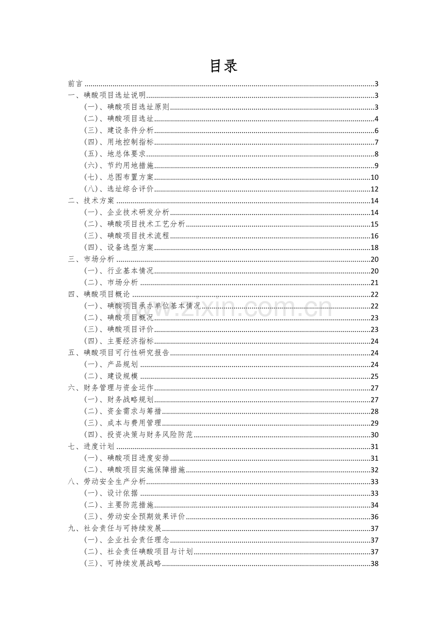 碘酸项目可行性研究报告.docx_第2页