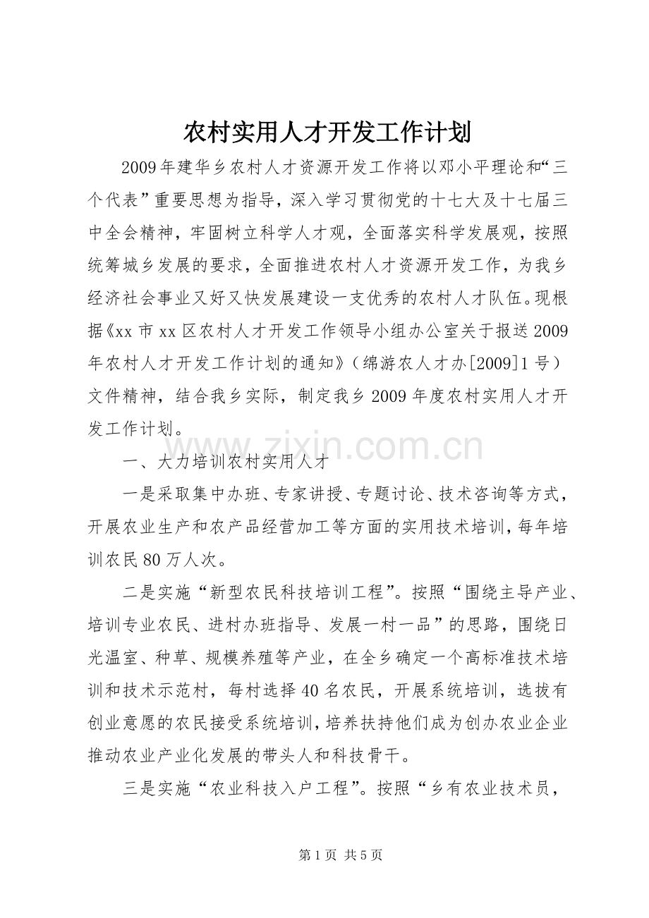 农村实用人才开发工作计划.docx_第1页