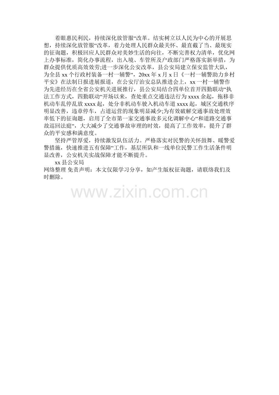 县公安局20年公安工作总结.docx_第2页