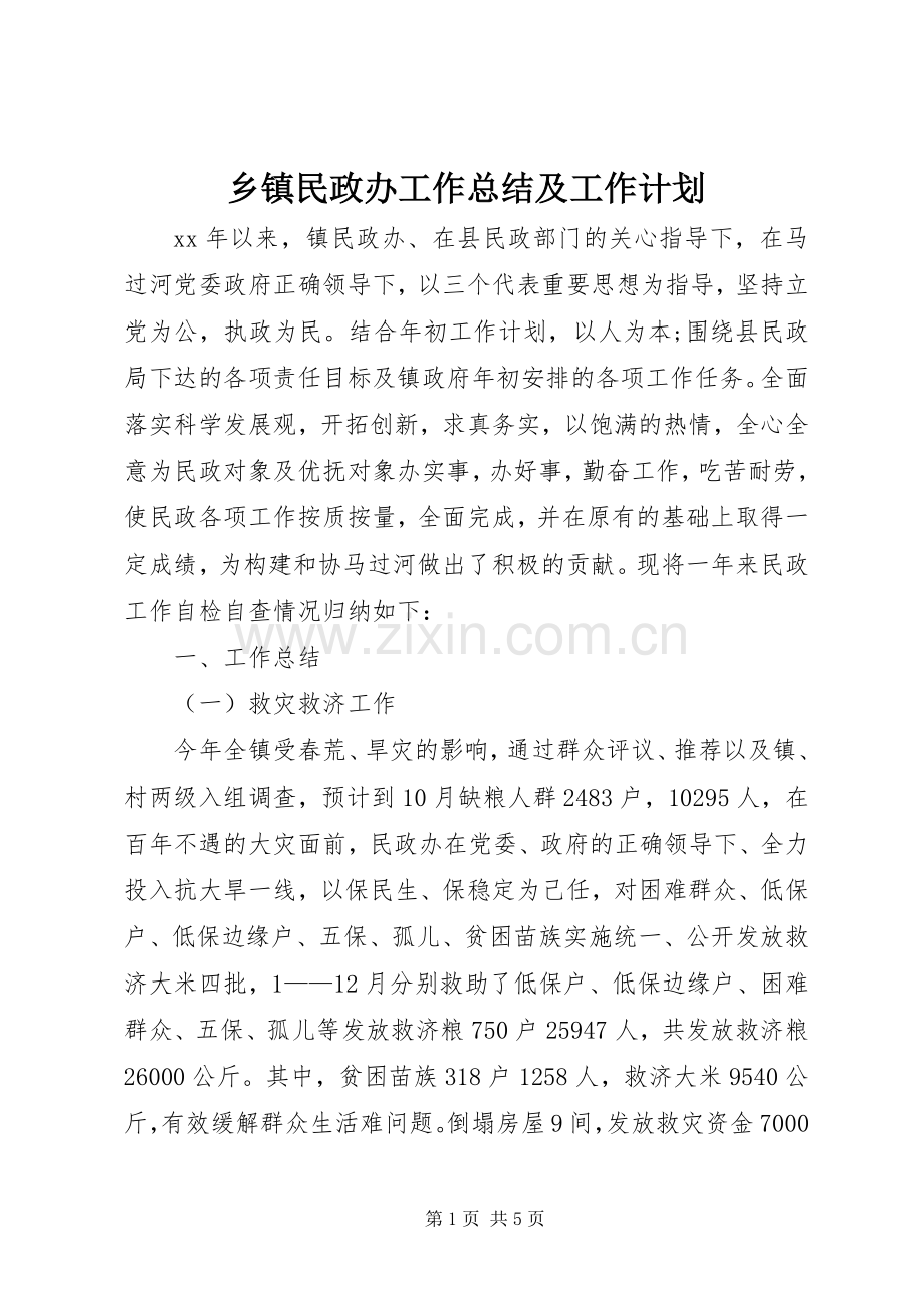 乡镇民政办工作总结及工作计划.docx_第1页