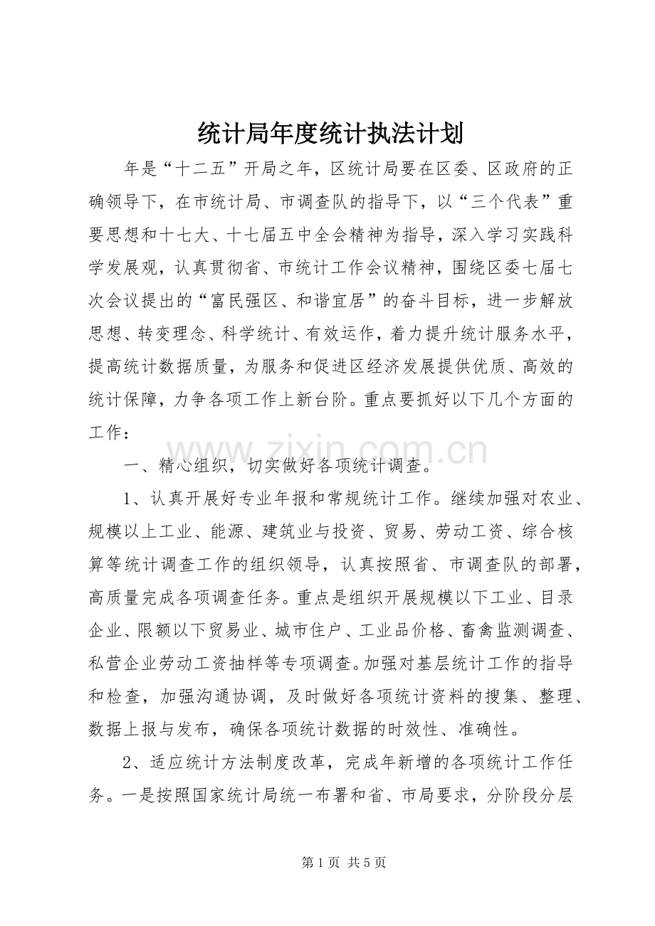 统计局年度统计执法计划.docx_第1页
