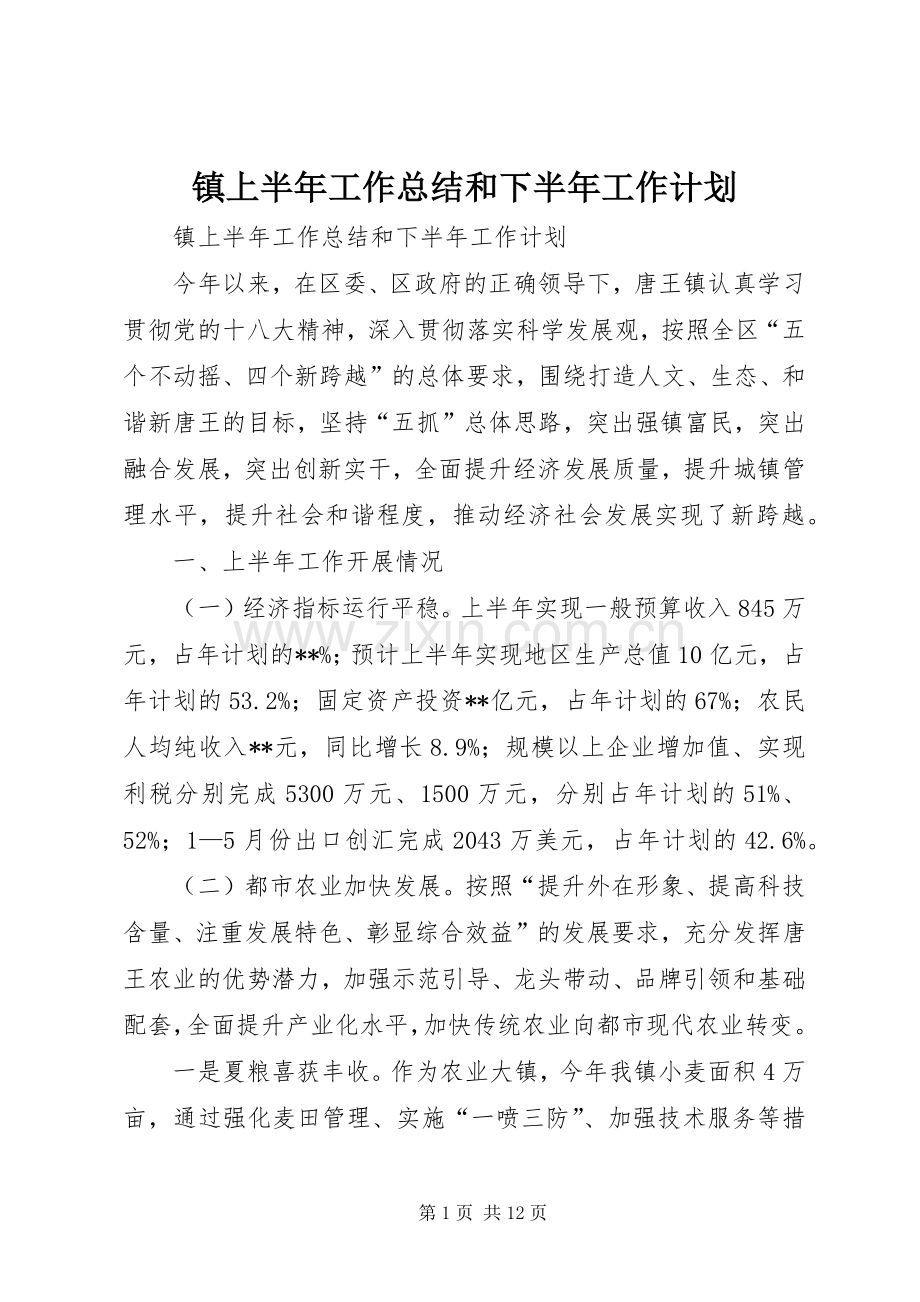 镇上半年工作总结和下半年工作计划 .docx_第1页