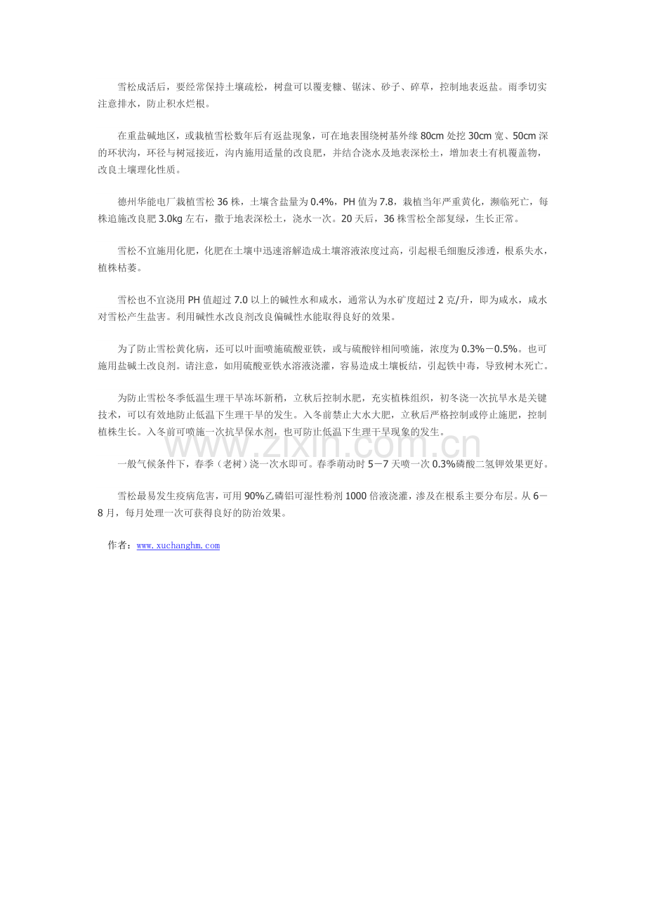 雪松大树防碱移植栽培.doc_第2页