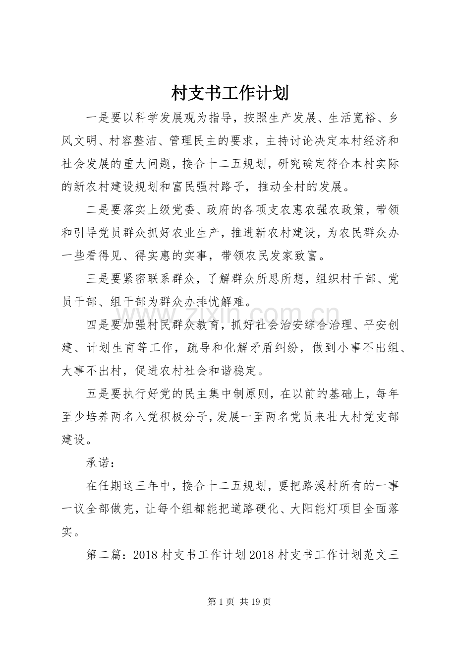村支书工作计划 .docx_第1页