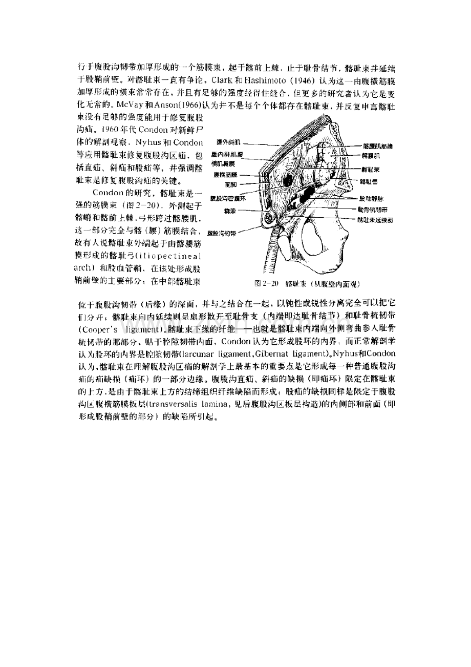 钟世镇解剖的一些笔记.doc_第2页