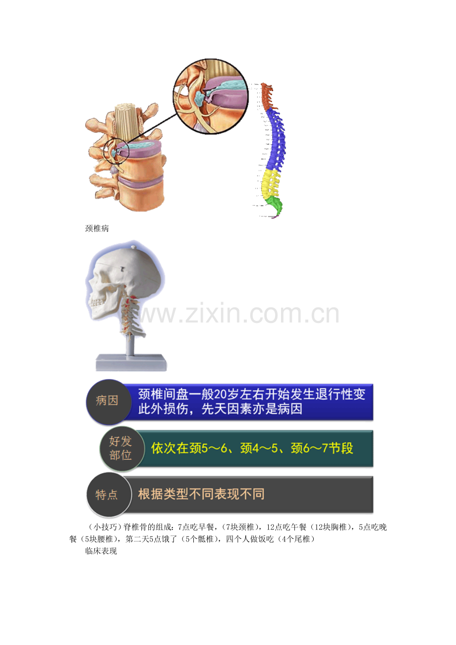 肌肉骨骼系统及结缔组织疾病病人护理.doc_第2页