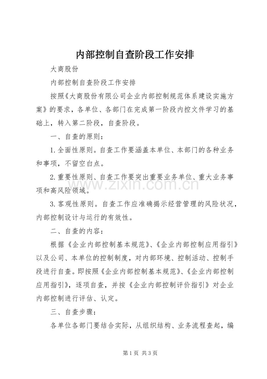 内部控制自查阶段工作安排.docx_第1页
