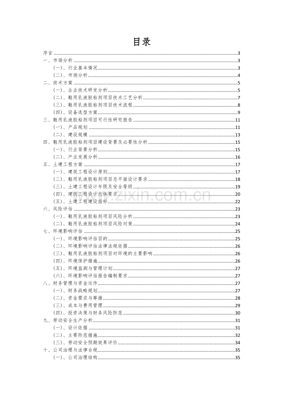 鞋用乳液胶粘剂项目商业计划书.docx_第2页