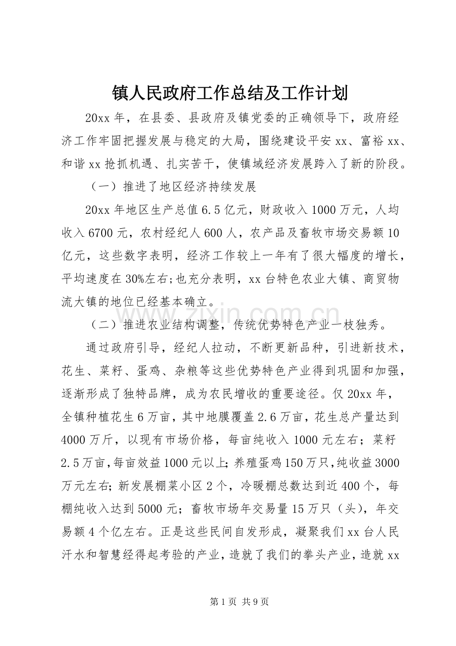 镇人民政府工作总结及工作计划.docx_第1页
