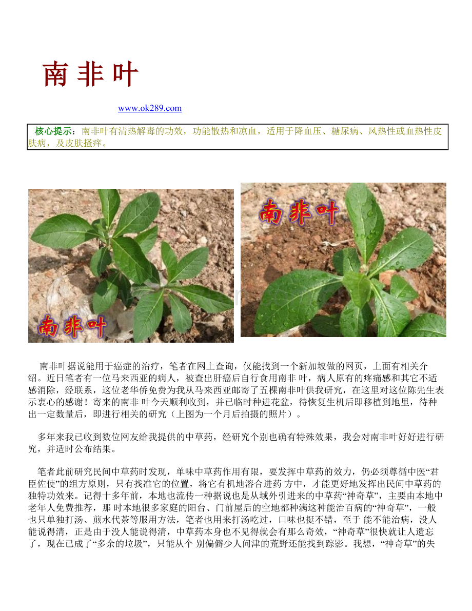 南非叶抗癌草.doc_第1页