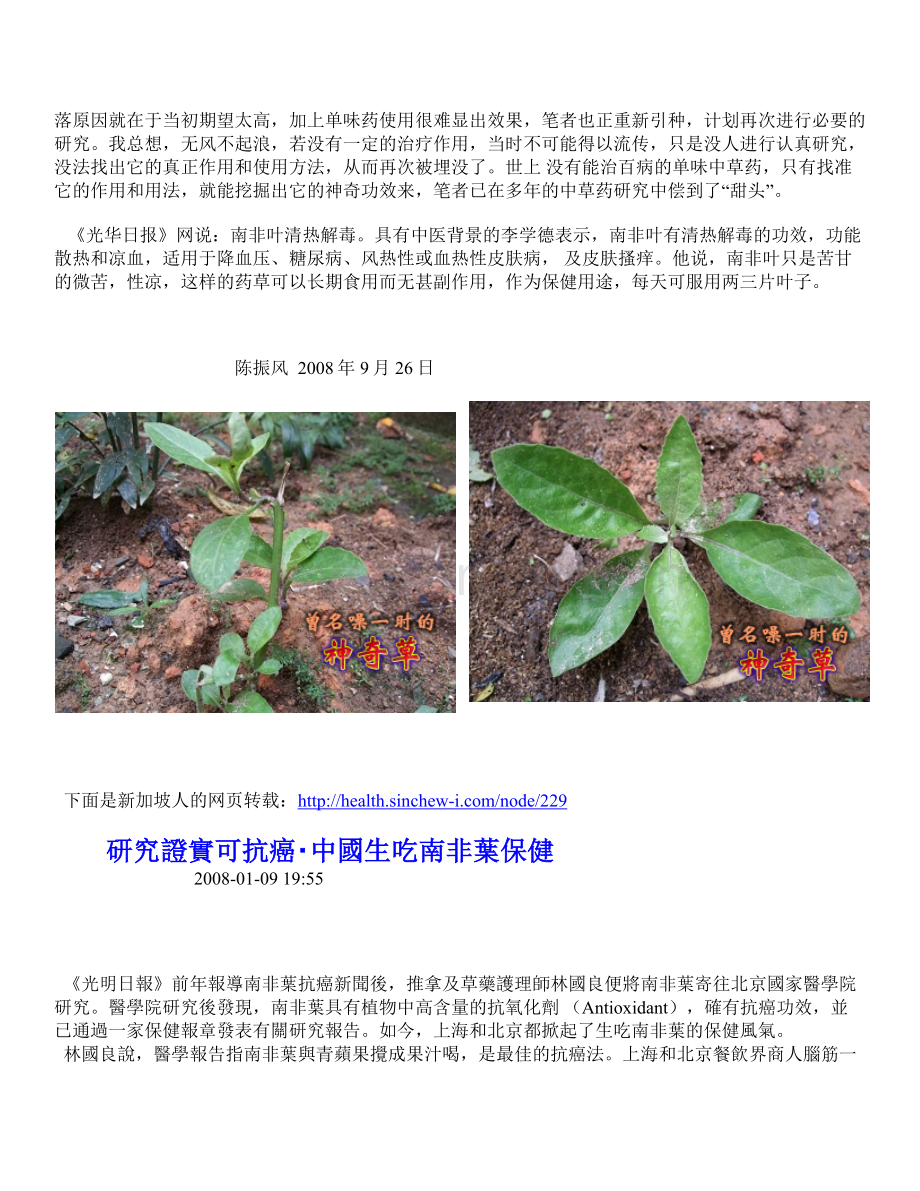南非叶抗癌草.doc_第2页
