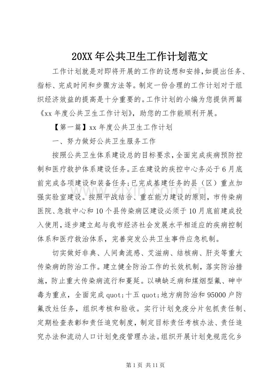 20XX年公共卫生工作计划范文 .docx_第1页