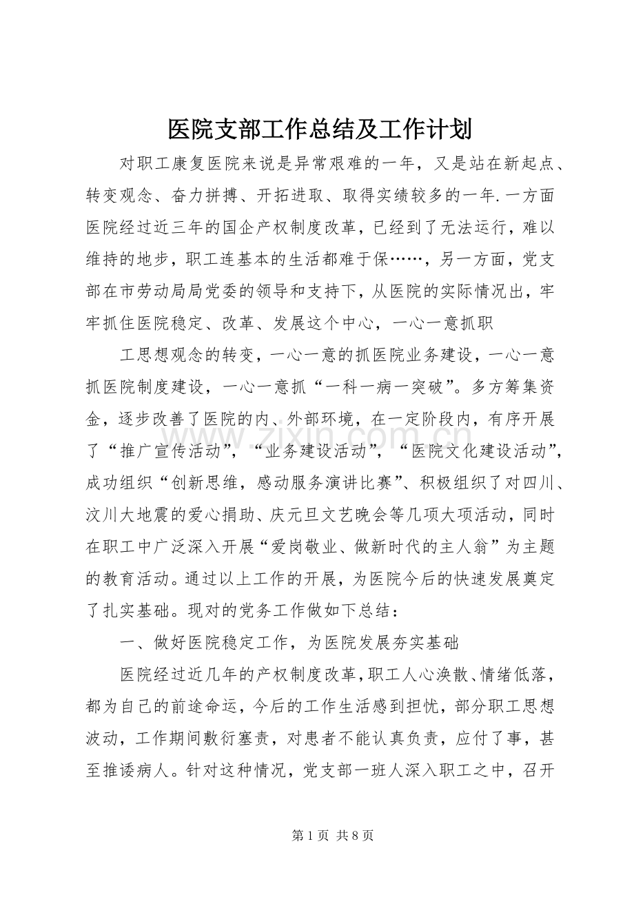 医院支部工作总结及工作计划 .docx_第1页
