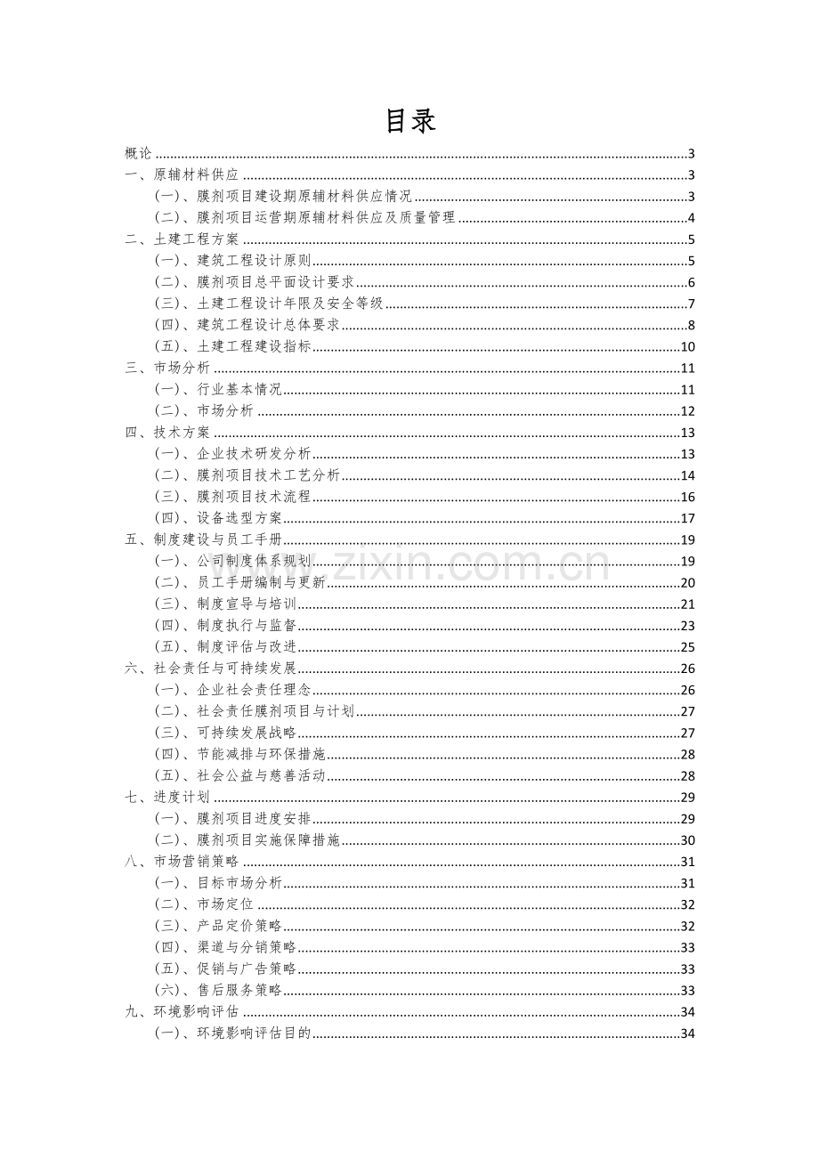 膜剂项目可行性研究报告.docx_第2页
