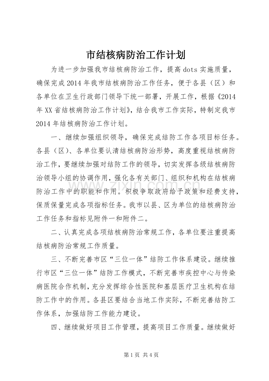 市结核病防治工作计划 .docx_第1页