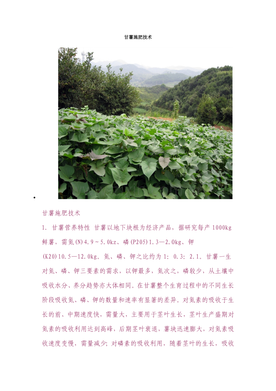 甘薯施肥技术.doc_第1页