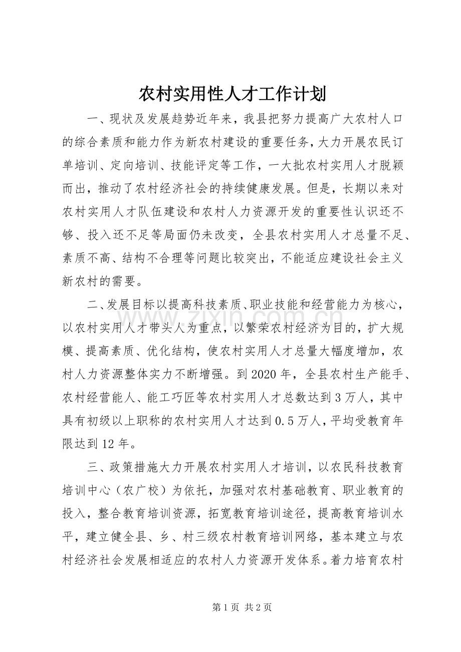 农村实用性人才工作计划 .docx_第1页