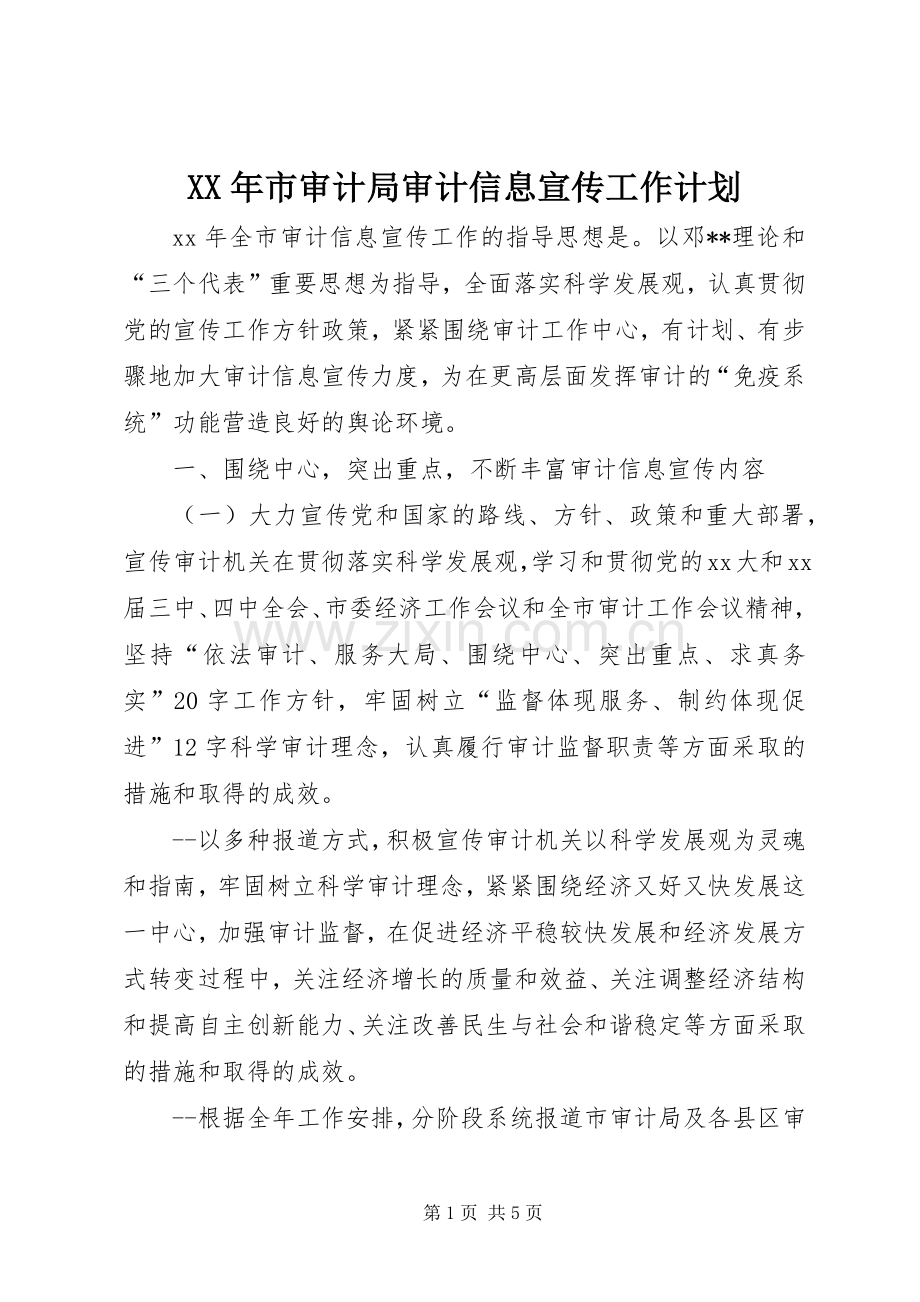 XX年市审计局审计信息宣传工作计划.docx_第1页