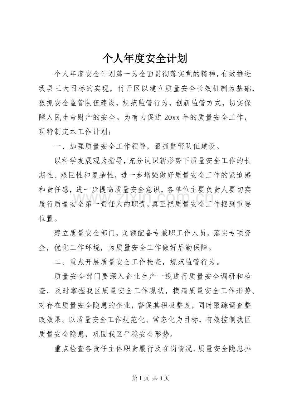 个人年度安全计划 .docx_第1页