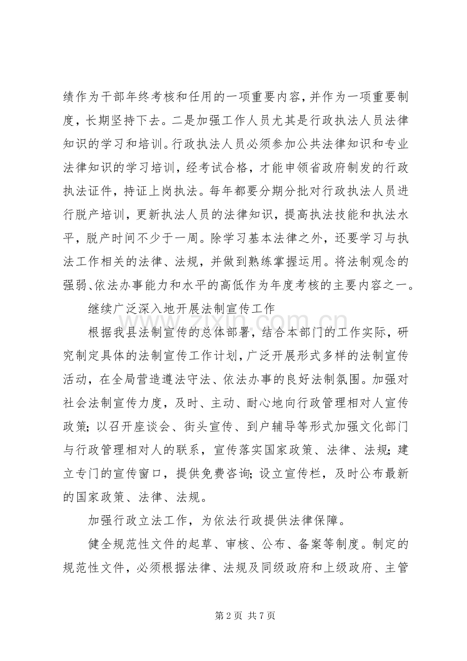 ××县文化局依法行政工作实施规划.docx_第2页