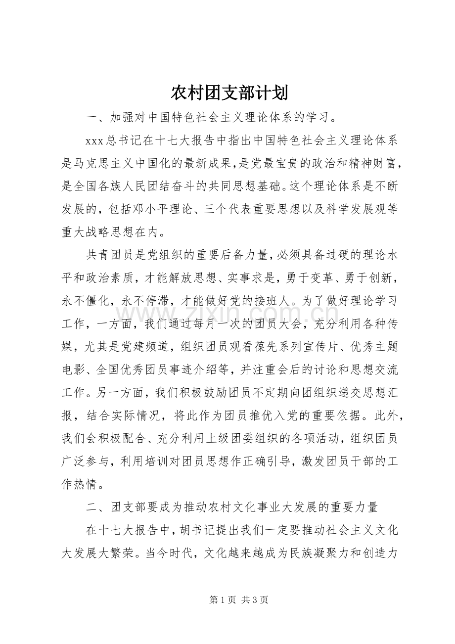 农村团支部计划.docx_第1页