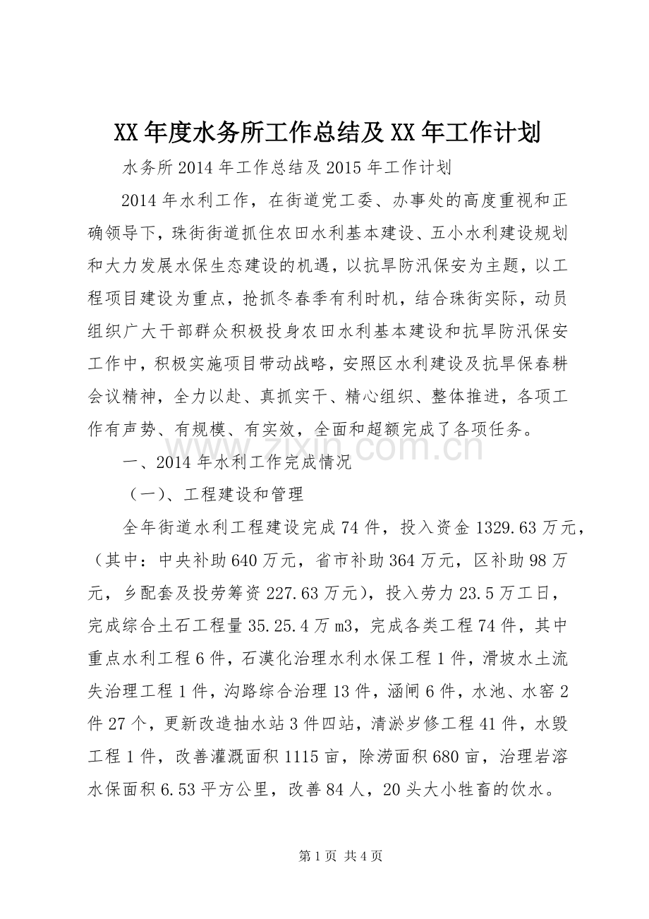 XX年度水务所工作总结及XX年工作计划 .docx_第1页