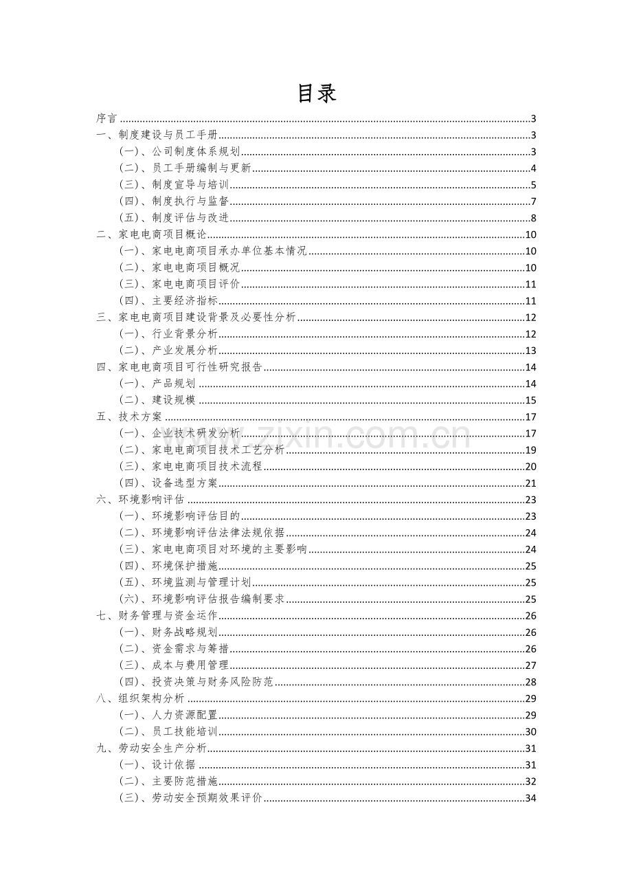 家电电商项目可行性研究报告.docx_第2页