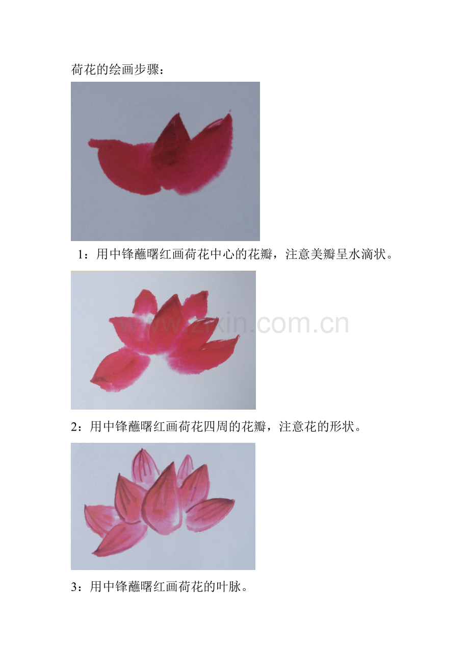 第七课：荷花.doc_第2页