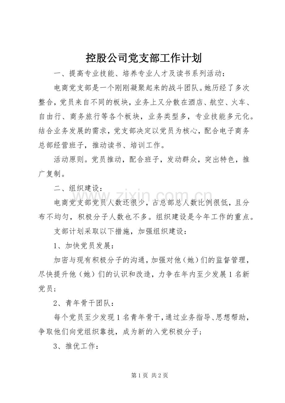 控股公司党支部工作计划.docx_第1页