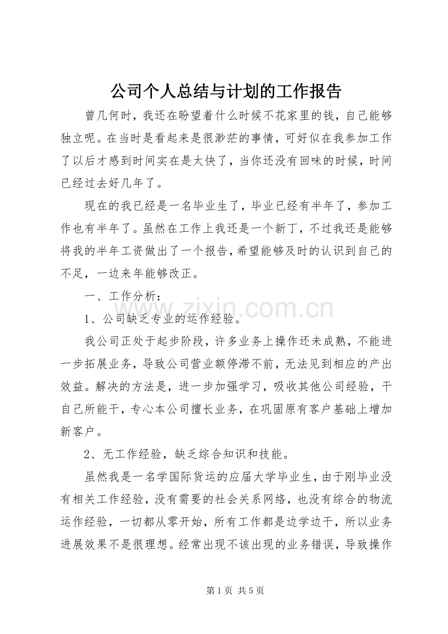 公司个人总结与计划的工作报告.docx_第1页