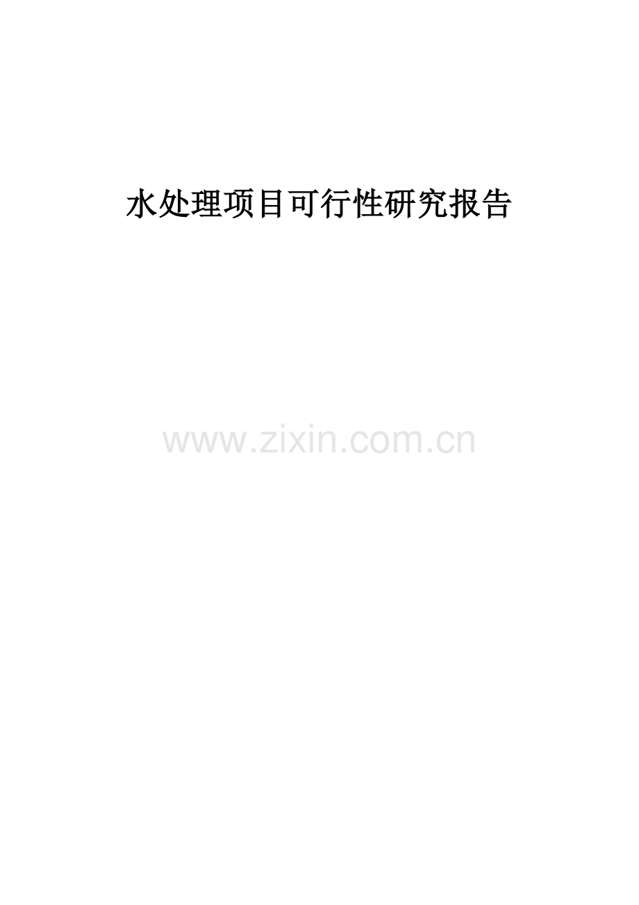 水处理项目可行性研究报告.docx_第1页