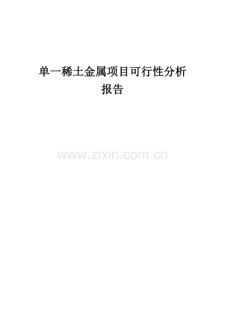 单一稀土金属项目可行性分析报告.docx_第1页